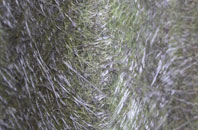 Manley fibreglass roof work